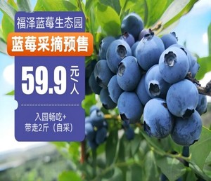 【预售】福泽蓝莓采摘59.9元/人 入园畅吃+2斤蓝莓带走（自采）